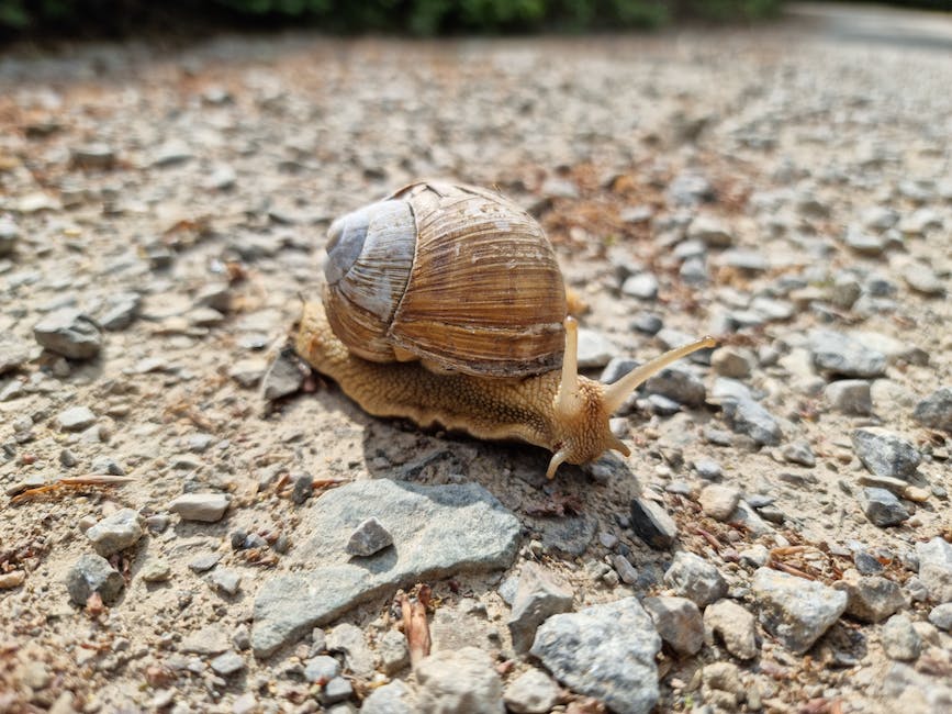  Warum müssen Autofahrer/innen auf ein Kind achten und ihre Geschwindigkeit reduzieren?